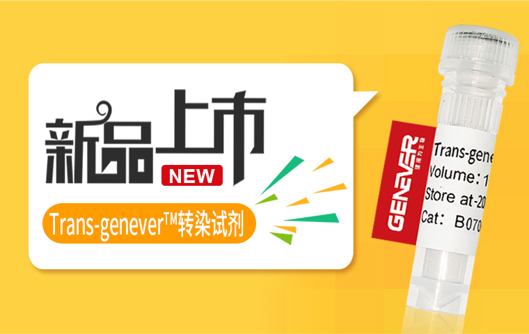 新品上市-轉染試劑