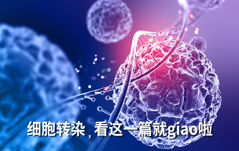 你想了解的“細胞轉染”，看這一篇就giao啦！