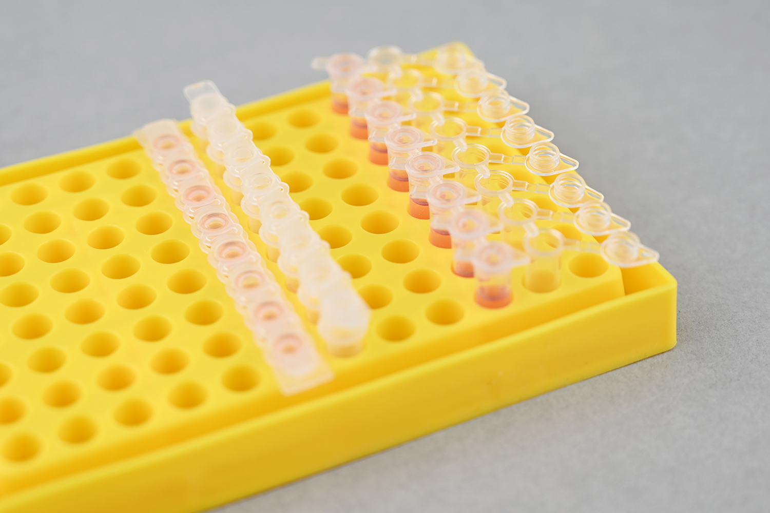 PCR-0096B 96孔PCR管架