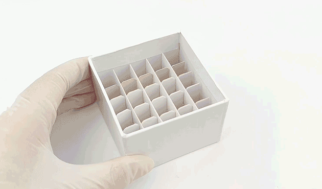 紙質.gif