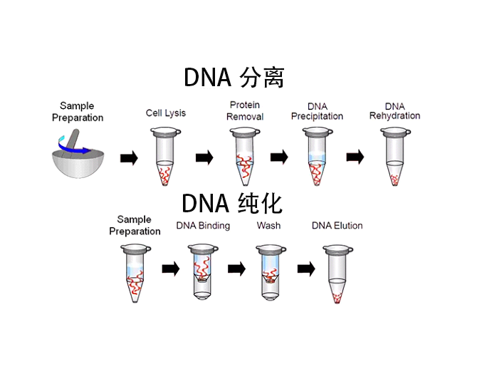 圖片 2.png